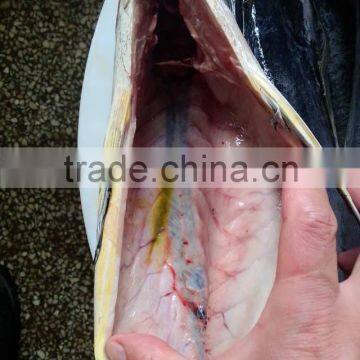 Frozen Gutted Mahi-mahi Fish Clean Fish photo-3