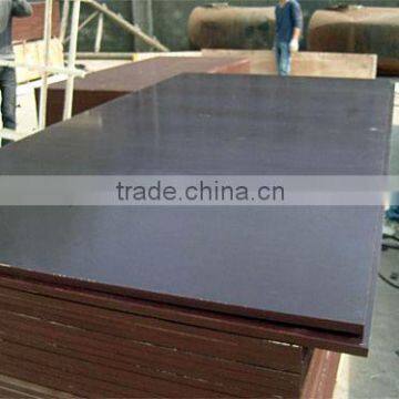 Top Quality Film Faced Plywood photo-4