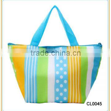 Custom High Quality Insulated and Thermal Cooler Bag with handle