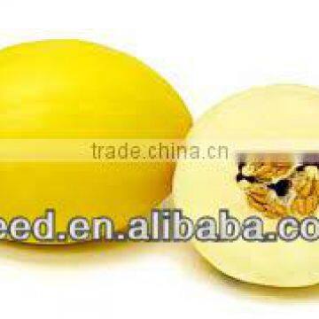 YELLOW CANARY Chinese good resistance melon seeds