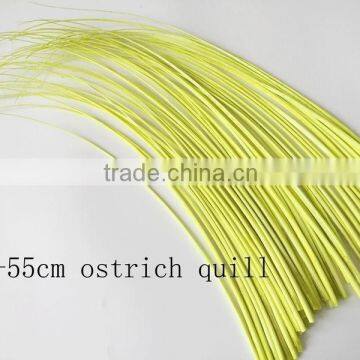 Yellow ostrich feather in size 50-55cm ,ostrich quill feather available in any colors