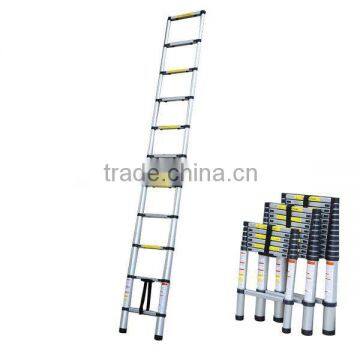 telescopic ladder