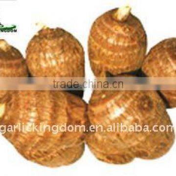 Fresh Taro Root
