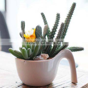 Wholesale Artificial Mini Succulent Flower Plants, Mini Flower Bonsai photo-5