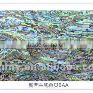 New Zealand abalone (paua) shell paper