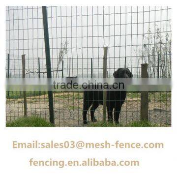 Lower price PVC coated Euro Fence For Animals