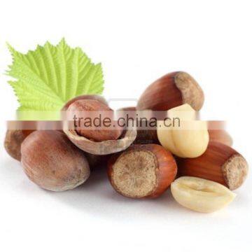 100% organic and natural Hazelnuts