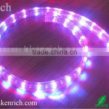 220v Long Lifespan 3Wires Flat LED Rope Light