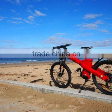 Seagull CVT-With Nuvinci 360--Electric Bike