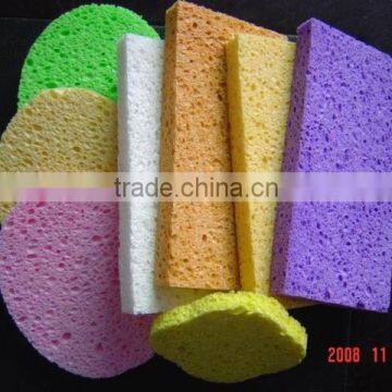 water-absorbent and magic cleaning sponge