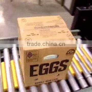 FRESH WHITE AND BROWN EGGS FOR SALE photo-4