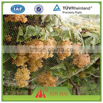 orchard nets/anti-bird nets/vegetable garden nets