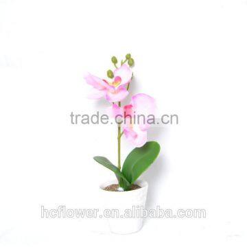 Beauty silk Orchid in ceramic pot for home decoration