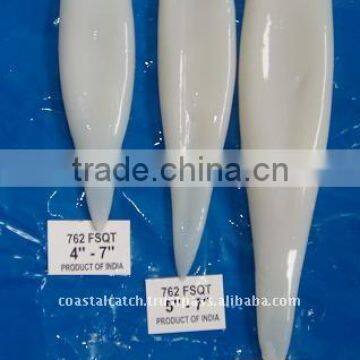 FROZEN SQUID TUBE