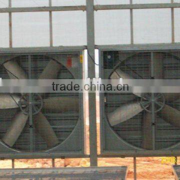 Network Type Kyws 9.6m Glass Greenhouse photo-5