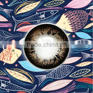 Brilliant classical pattern with Chinese style WEBW001 bling brown cosmetic plano color contact lens/Lenses design originality