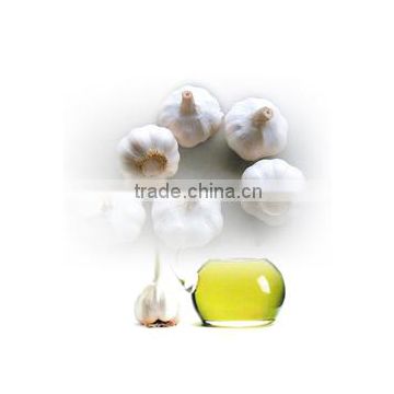 Manufacture 100% garlic oil