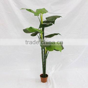 Indoor Fake Decorative Artificial Taro Plant Tree for Sale photo-2