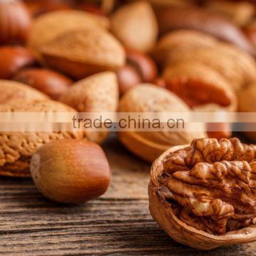 Best Nutrient Walnut Kernels exporters