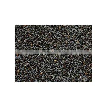 Poppy Seeds photo-2
