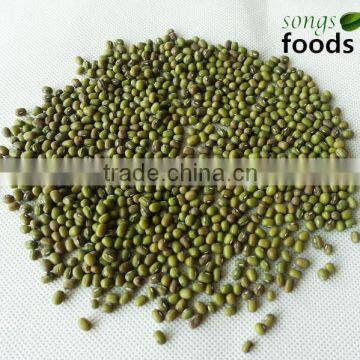 Green Mung Bean With Best Quality