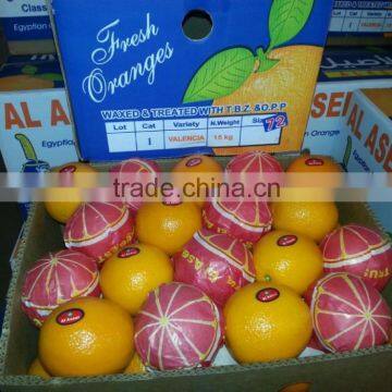 WINTER NAVEL ORANGE