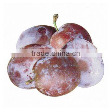 IQF Common Oval Plum Frozen Fruit