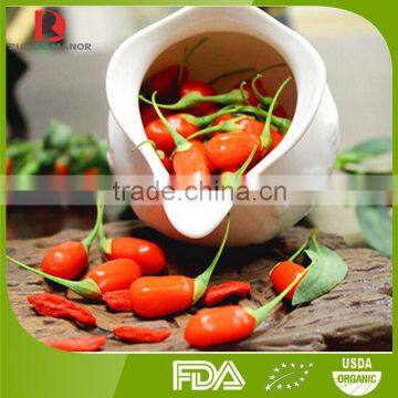 Organic Goji Berry/red wolfberry/manufacturer goji/certified organic goji berry