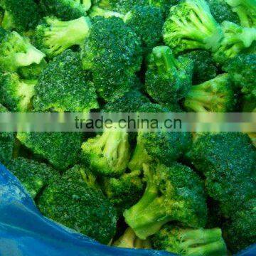 New crop frozen/IQF broccoli , broccoli florets 2-4/3-5cm , bulk frozen vegetables