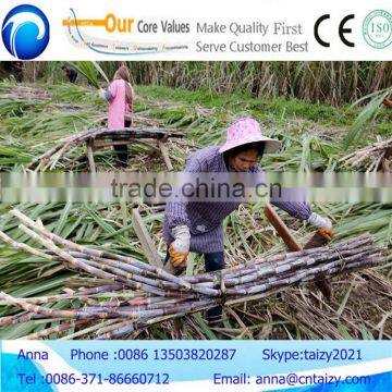 Agricultural 3-5t/h sugarcane leaf stripping machine