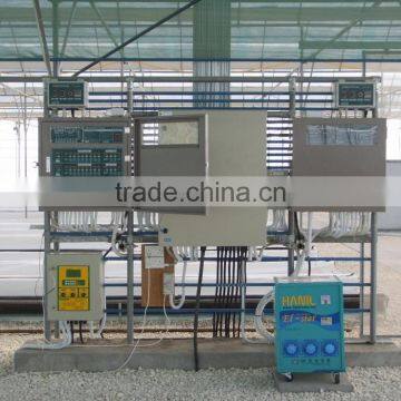 Korean Greenhouse photo-3