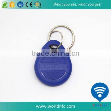 125KHz Passive ABS Material EM4100 RFID Keychain for Access Control System