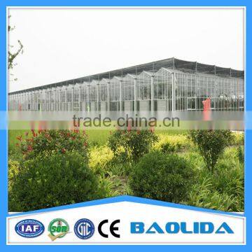 BaoLiDa Venlo Roof Glass Greenhouse Kit photo-3