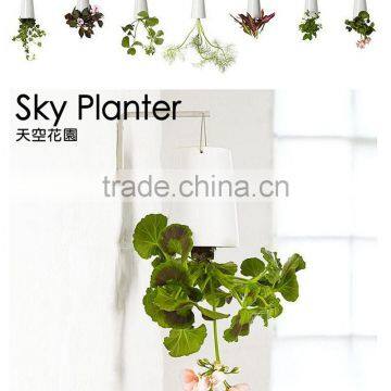 Creative Flower Pot Plastice Sky Planter Mini Sky Garden Hang Suspended Decorative Sky Planter New Design Indoor Sky Planter photo-2