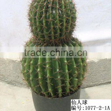 Top-quality decoration artificial hoodia cactus/opuntia dillenii haw