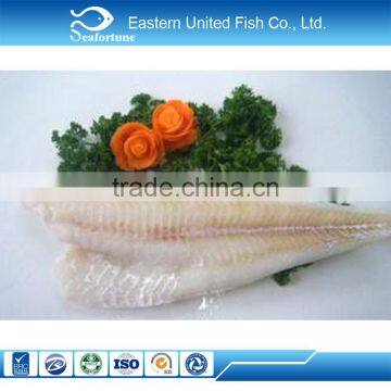 Seafood Wholesale frozen hake fillets