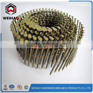 galvanized twisted nails coil nail yellow zinc plated