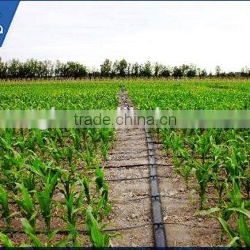 PE Plastic Lay Flat Hose for Drip Irrigation photo-3