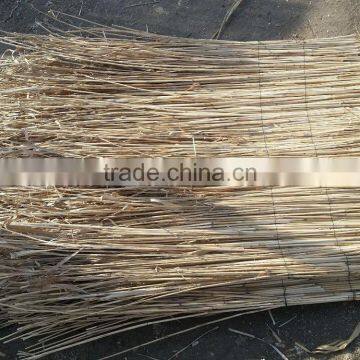 Water Reed Thatching Roof photo-5