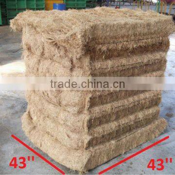 Oil Palm Fiber