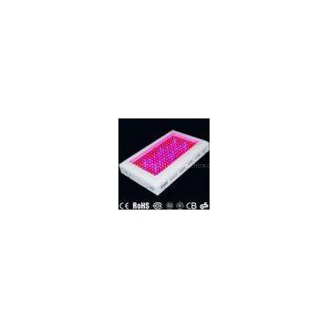 LED Hydroponics & Horticulture indoor plant grow lighting 200W 440 x 340x 70mm