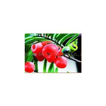 Anti-cancer Docetaxel/ Taxotere 114977-28-5