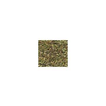 Fennel powder