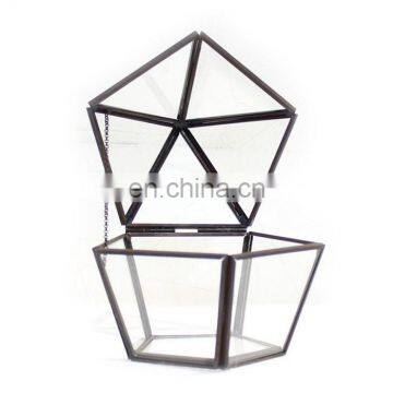 terrarium glass geometric terrarium indoor plants house decoration