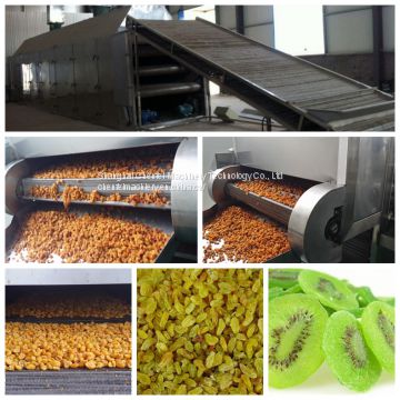 Dried fruit processing line