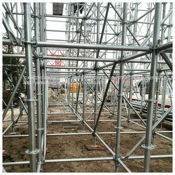 China manufacturer HDG 48mm 60mm ringlock scaffold vertical