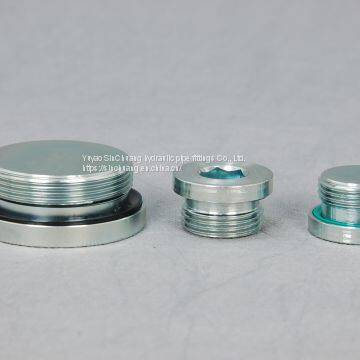 BSP MALE O-RING SEAL  INTERNAL HEX PLUG