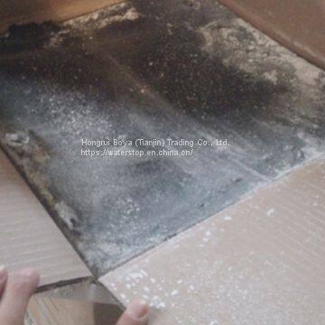 Asphalt Plug Expansion Joint for Bridge and Highway Road photo-5