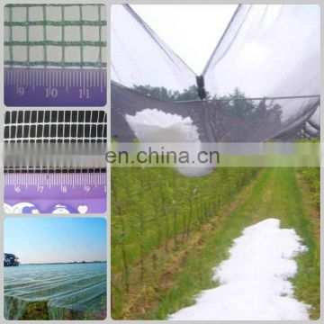 Anti hail Net / Hail Protection Net / Apple Tree Anti Hail Net