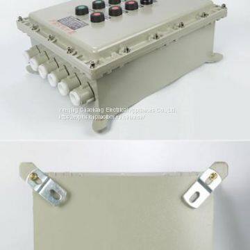 Explosion-proof Distribution Box Customized Explosion-proof Control Box Wiring Meter Box Power Lighting Distribution Cabinet photo-2